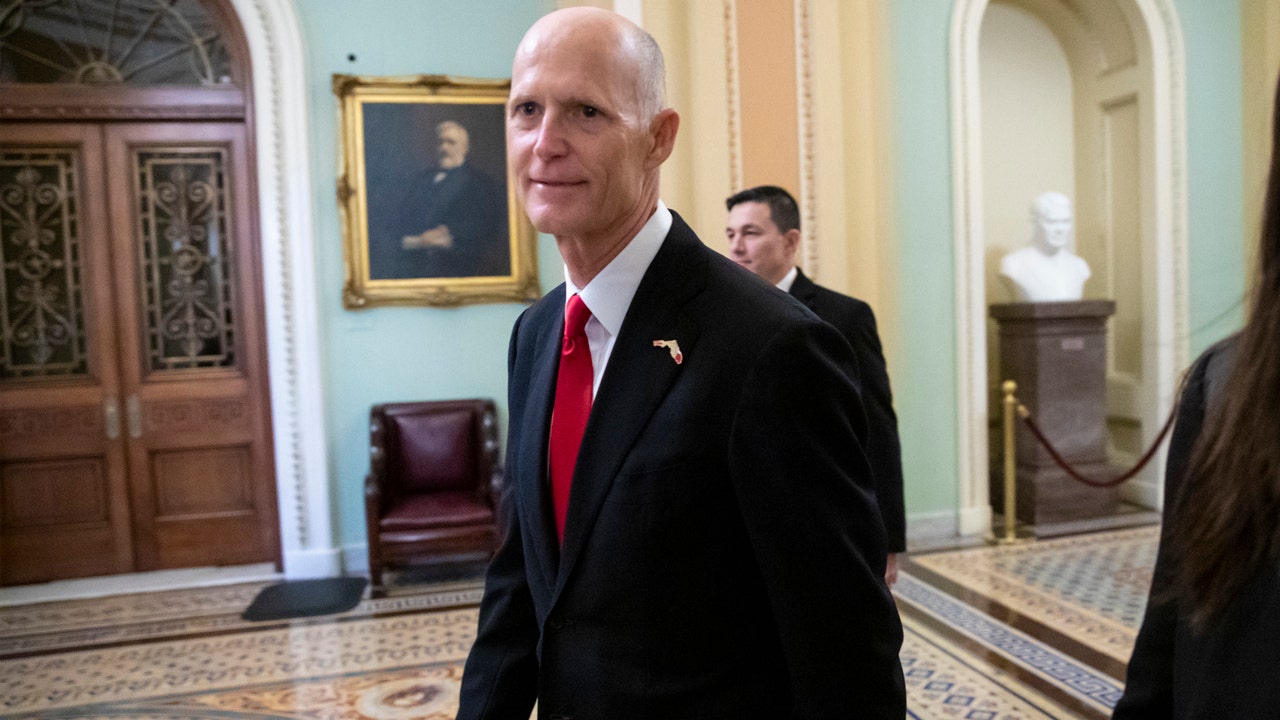 Republican Rick Scott wins Florida US Senate seat after manual recount ...