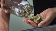 Alaska credit union to serve marijuana businesses
