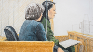 Chinese executive facing US extradition appears in court