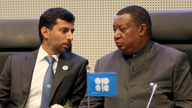OPEC delays oil output decision pending Russia talks