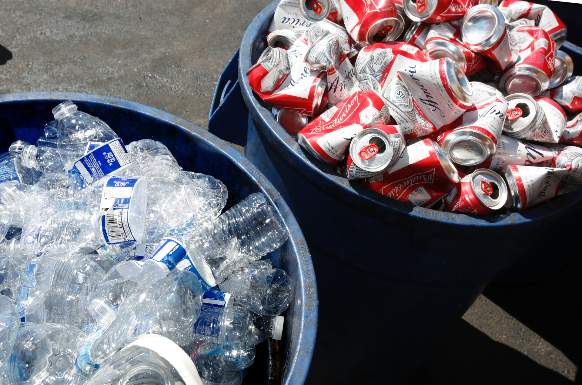 Sustainability плакаты. Why to recycle. Recycling materials. Fill in recycling. Reuse картинка.