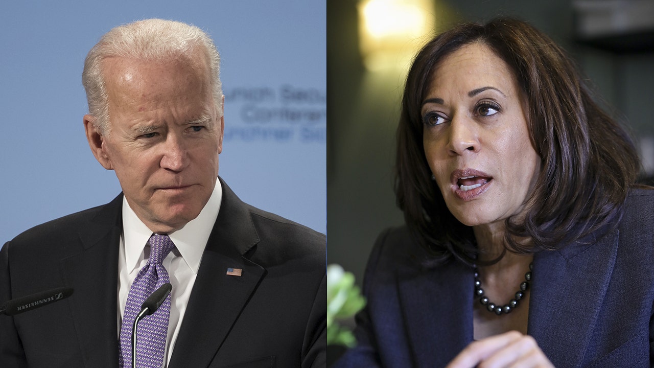 Joe Biden Kamala Harris 2020 Ticket Can Take On Trump Don Peebles Fox Business
