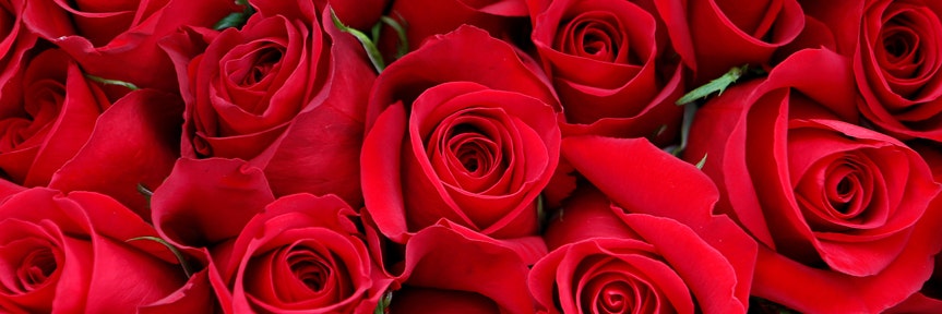 Best places to order Valentine's Day flowers online 2023