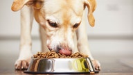 Another dog food recall over dangerous levels of vitamin D