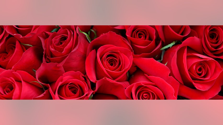 red flowers