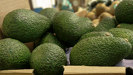 California grower recalls avocados over possible listeria