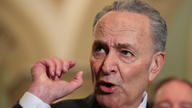 Schumer wants Boeing off FAA committee amid investigations