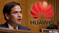 Rubio slams Huawei: They shouldn’t be in business in America