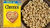 General Mills lifts profit view on cost cuts, price hikes