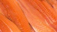 FDA lifts ban on genetically modified salmon