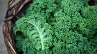 Kale rejoins the 'Dirty Dozen' list as one of the most contaminated with pesticides
