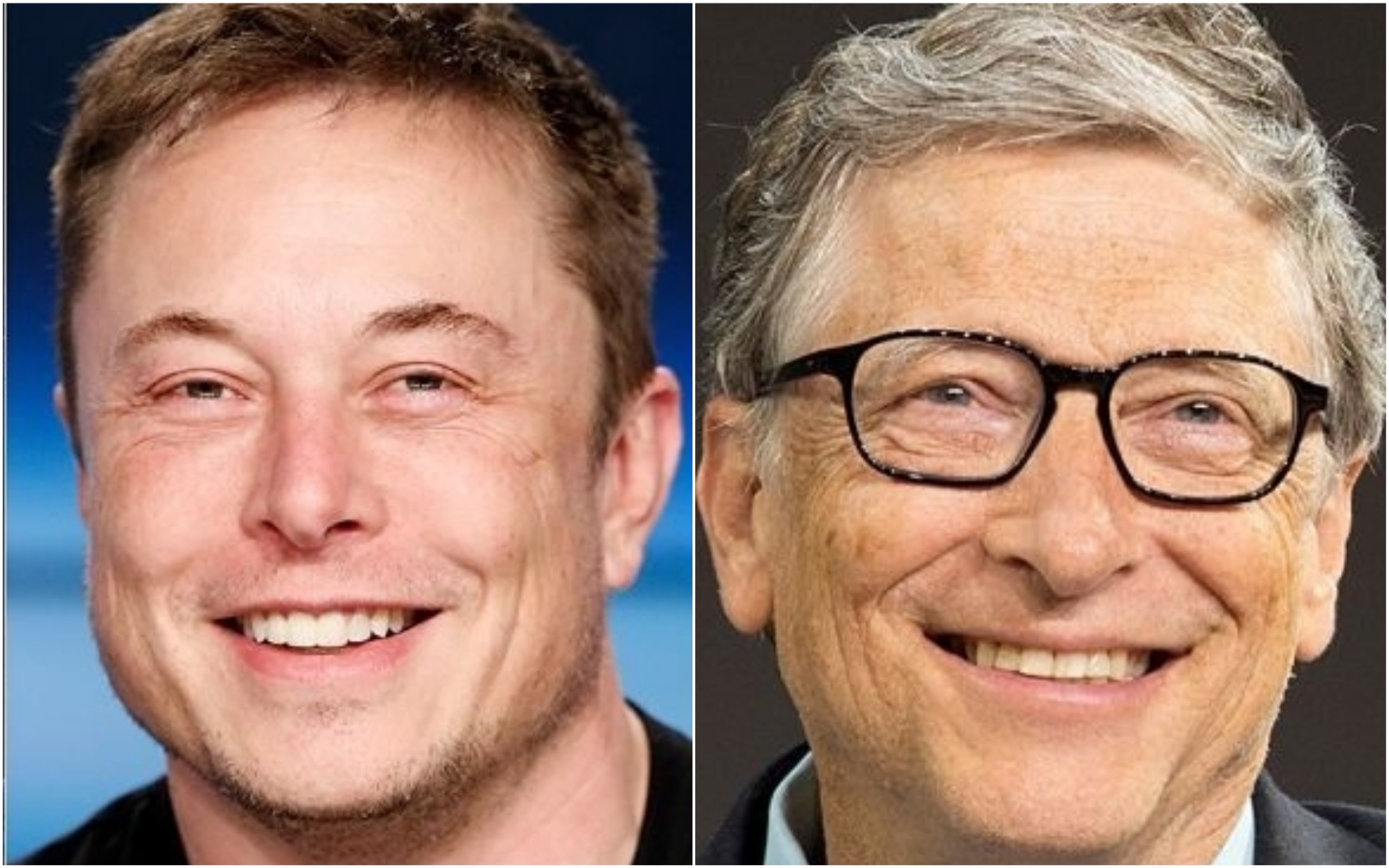 Elon Musk, Bill Gates, others took a personality test and ...