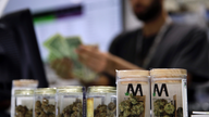 Nevada may be forced to reveal marijuana-license criteria