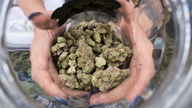 Corporate America embraces 420 as pot legalization grows