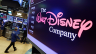 Disney unveils new streaming service to debut late this year