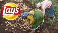 Pepsi suing local farmers in India for growing potatoes it claims it owns