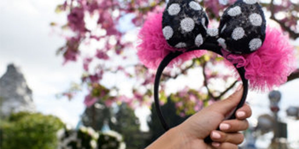 Mouse-Ears.jpg?ve=1&tl=1 display picture 2