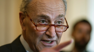 APNewsBreak: Schumer calls for probe of Chinese rail tech