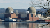 Speedy reactor cleanups may carry both risks and rewards