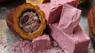 Ruby chocolate makes US debut: Where you can buy the pink-hued candy