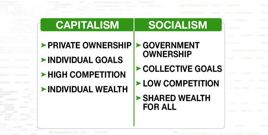 Millennial Lifelong Socialist Calls Capitalism Economic Scheme   DOTCOM FS Capitalism Vs Socialism 