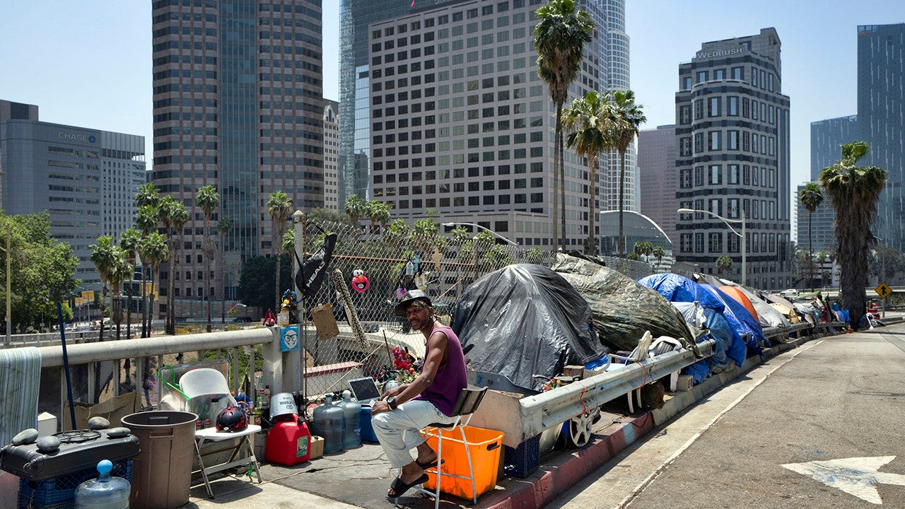 Los Angeles' homeless crisis reaching third world country levels, local
