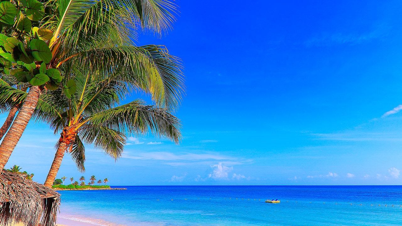 Dozens of guests at Jamaica vacation resort sickened by probably salmonella outbreak Dozens of guests at Jamaica vacation resort sickened by probably salmonella outbreak