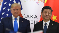 Trump, Xi reach plan to resume trade talks, tariffs on hold for now