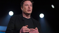 Tesla CEO lifts shareholder spirits, takes aim at media