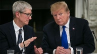 Apple's Tim Cook Trump's favorite tech CEO, here's why