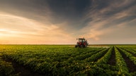 Biden EPA to block common crop pesticide citing potential health hazards