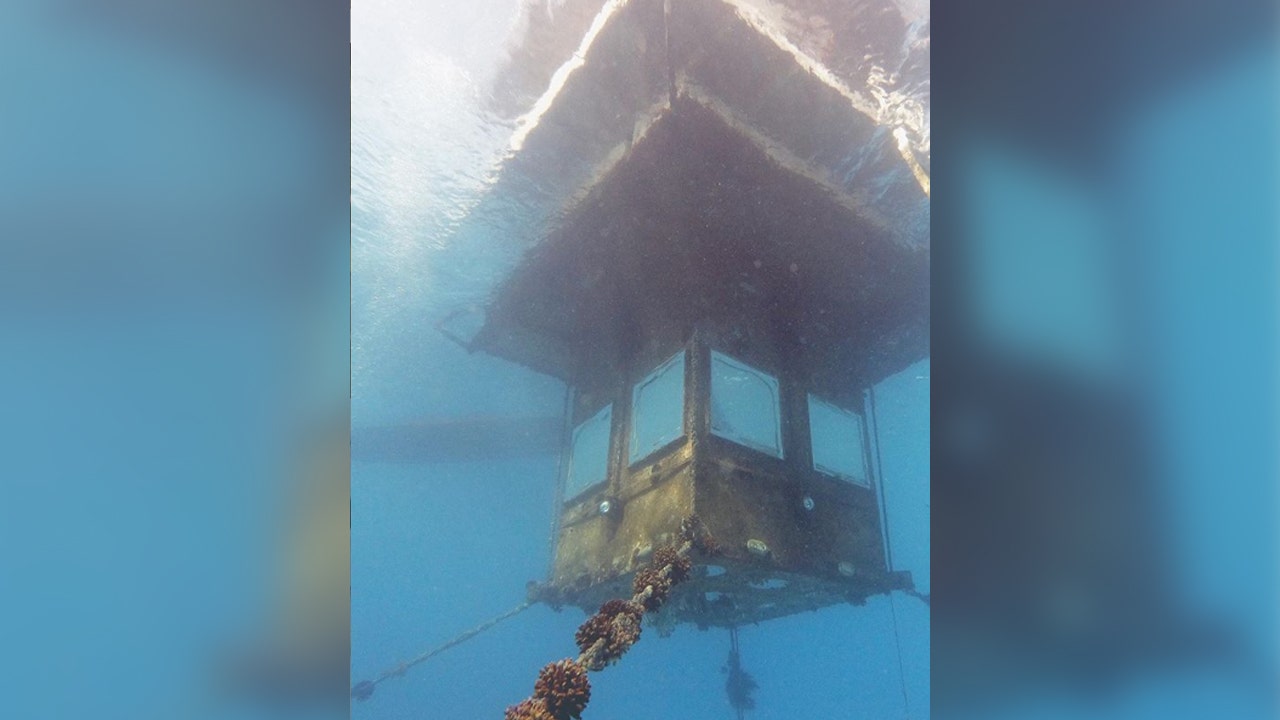 Tanzania Underwater Room Where Proposal Turned Deadly Is