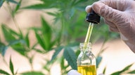 FTC warns CBD companies: Stop saying your products treat cancer, Alzheimer's without proof