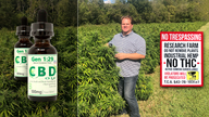 Christian companies investing in CBD, preaching its healing power