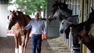 Horse racing under fire after 2018 Triple Crown winner Justify's failed drug test