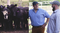 Porter Road: Changing the meat industry by bringing power back to the farmers