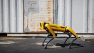 Boston Dynamics' dog-like 'Spot' robot goes on sale -- but there's a catch