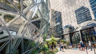 More than 900 Amazon employees plan strike over climate change inaction