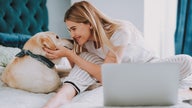 Millennials rack up more debt from pets, vets than any other generation