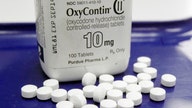 How will Purdue Pharma's bankruptcy affect pending litigation?