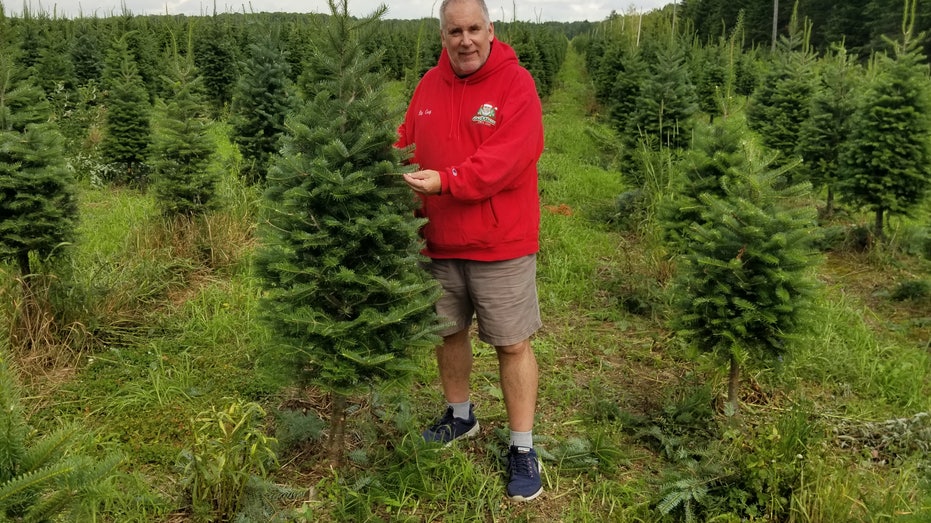 Christmas tree merchant makes six figures in a 30yearold side hustle