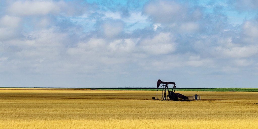 Russia's invasion of Ukraine could be stopped with a 'real embargo' of oil: former Putin economic adviser - Vimarsana News
