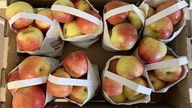 Michigan apples recalled in eight states over possible Listeria concerns