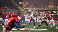 Arena Football League's future in doubt, suspends team operations