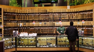 Dick's Sporting Goods destroys $5M of high-powered rifles rather than sell them