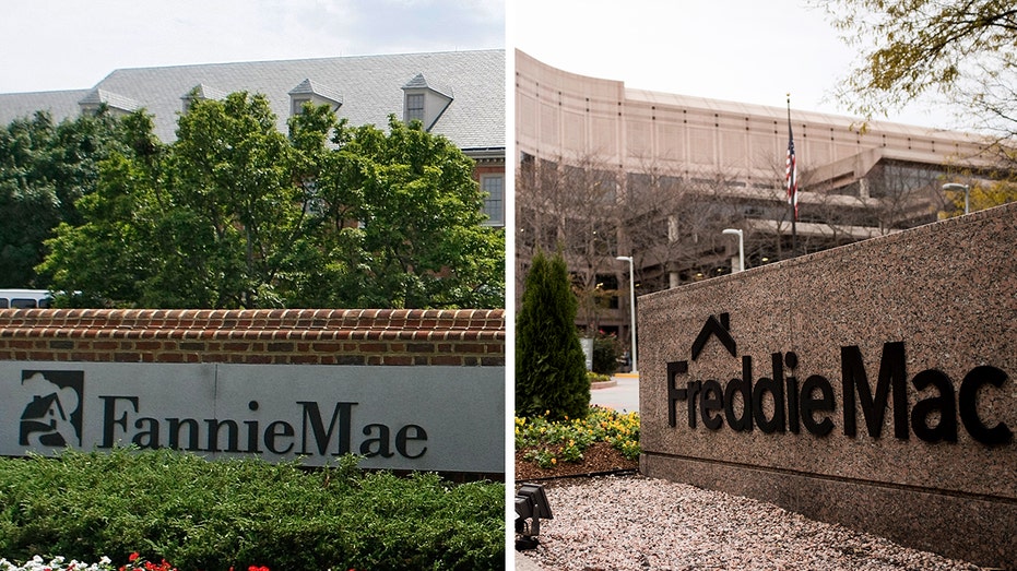 Fannie Mae and Freddie Mac public