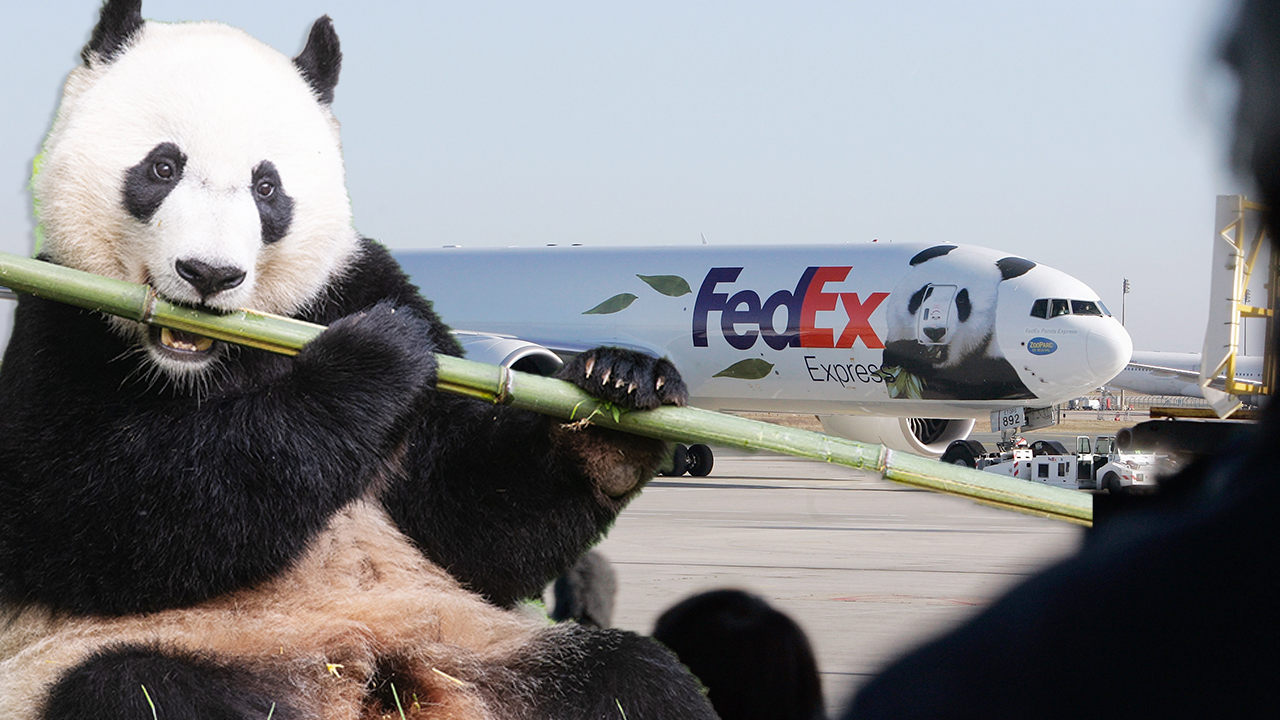 FedEx Panda Express takes off with a very important passenger | Fox