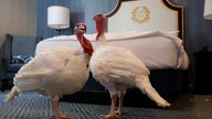 Help Trump pick which Turkey to pardon: Bread or Butter?