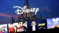 Alan Patricof on Disney+: 'Competition for content is enormous'