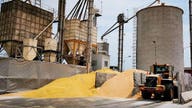 Former grain trader gets 8 years in prison for $11M scam